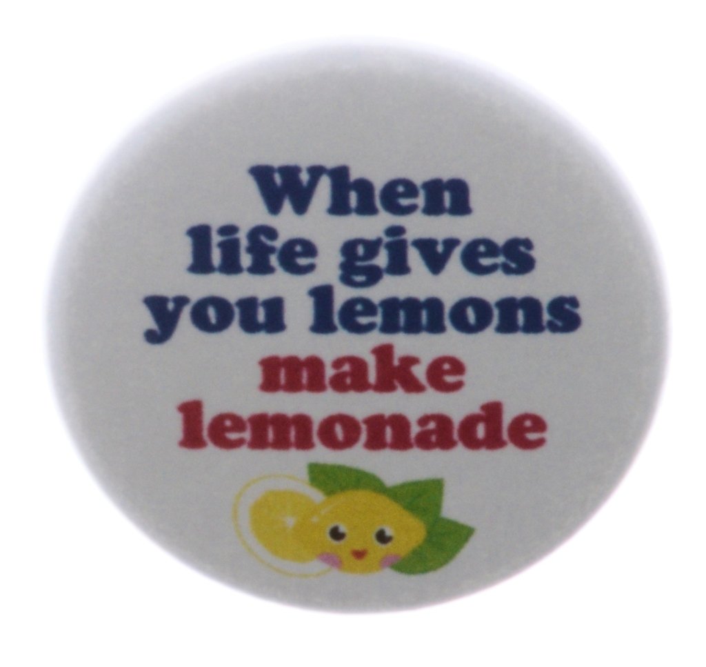 When life gives you lemons make lemonade MAGNET Inspirational Humor