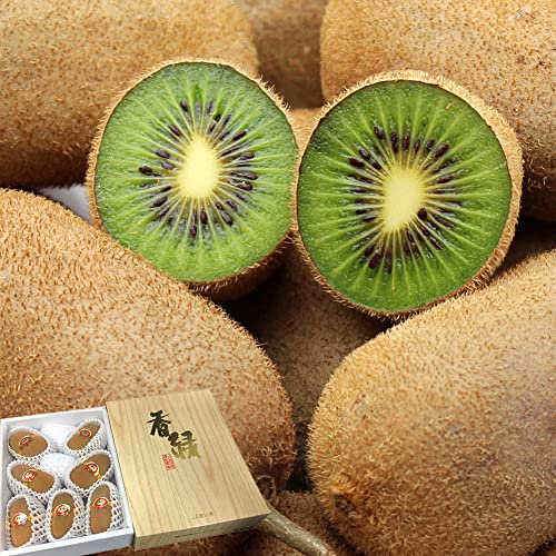 LEC xYLECt[c  4L`6LTCY 7?9 JA 쌧Y