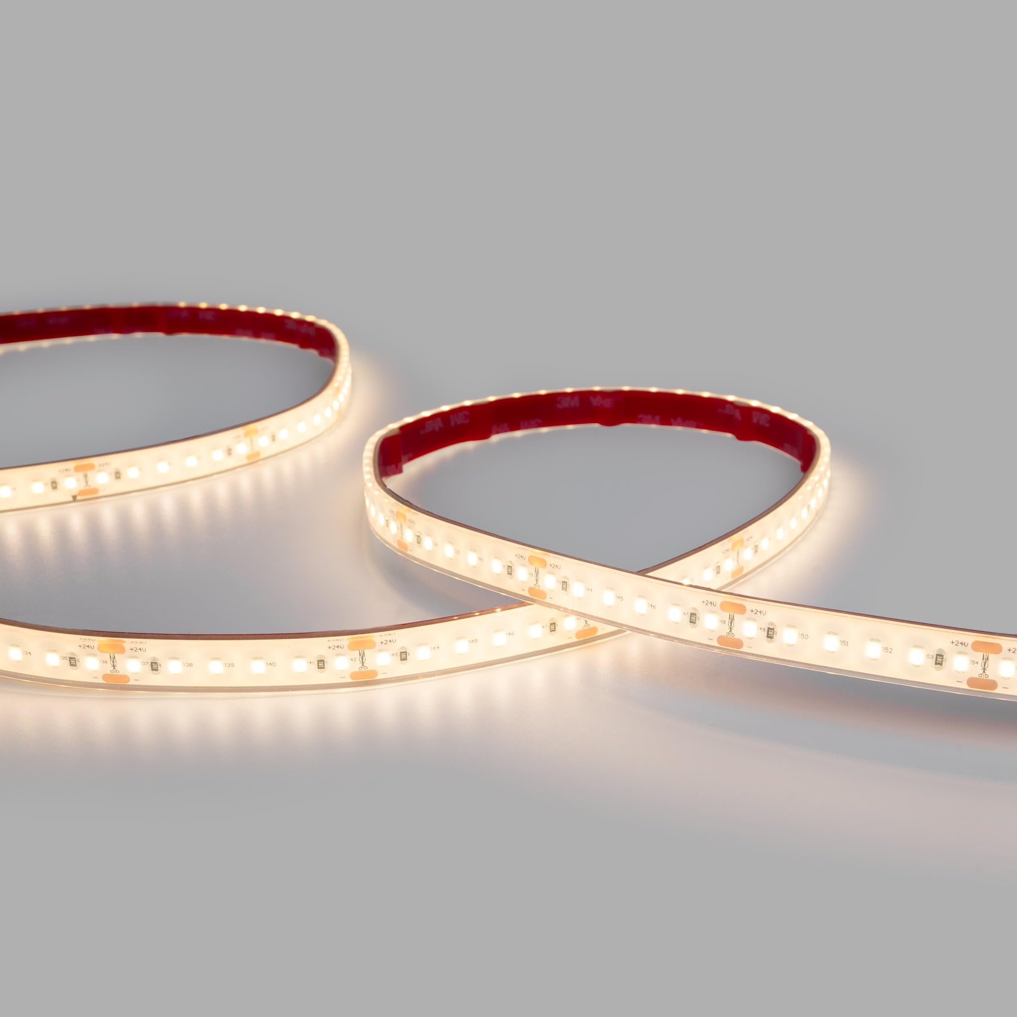 B·LED BARCELONA LED - Tira LED 24V DC sumergible - Monocolor - 9.6W/m - 12mm - IP68-10 metros - 120ch/m - Blanco Cálido