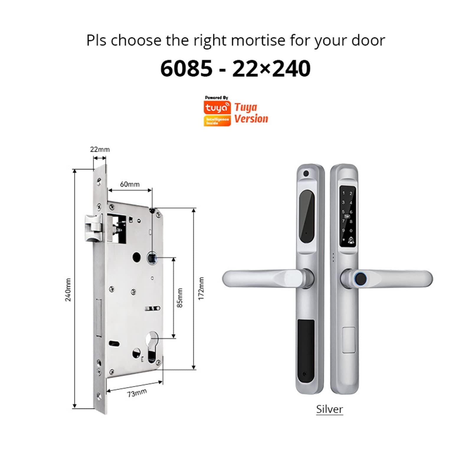 Serrure de Porte Intelligente étanche Tuya WiFi, Serrure biométrique(A6 TYS6085)