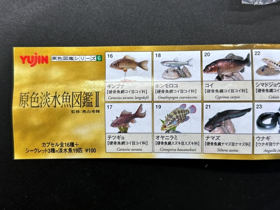 Amazon.co.jp: 〓Yujin ユージン〓原色淡水魚図鑑II シークレット サケ