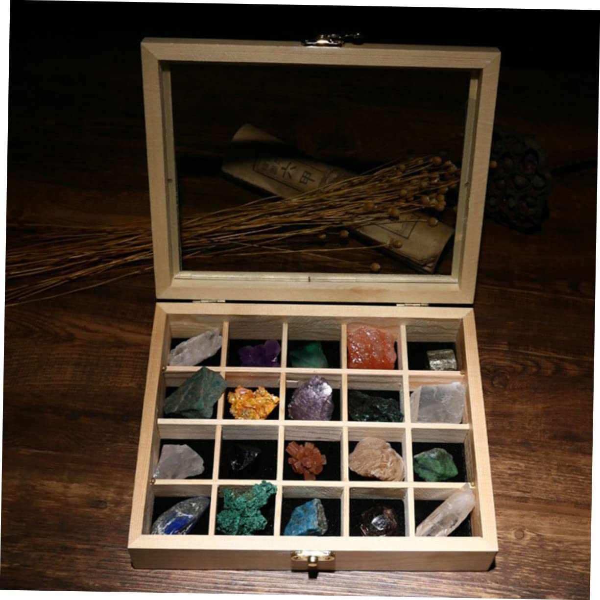 20 Stück Teiliges Mineralien Natursteine Sammlungsbox für Geologische Lehrproben für