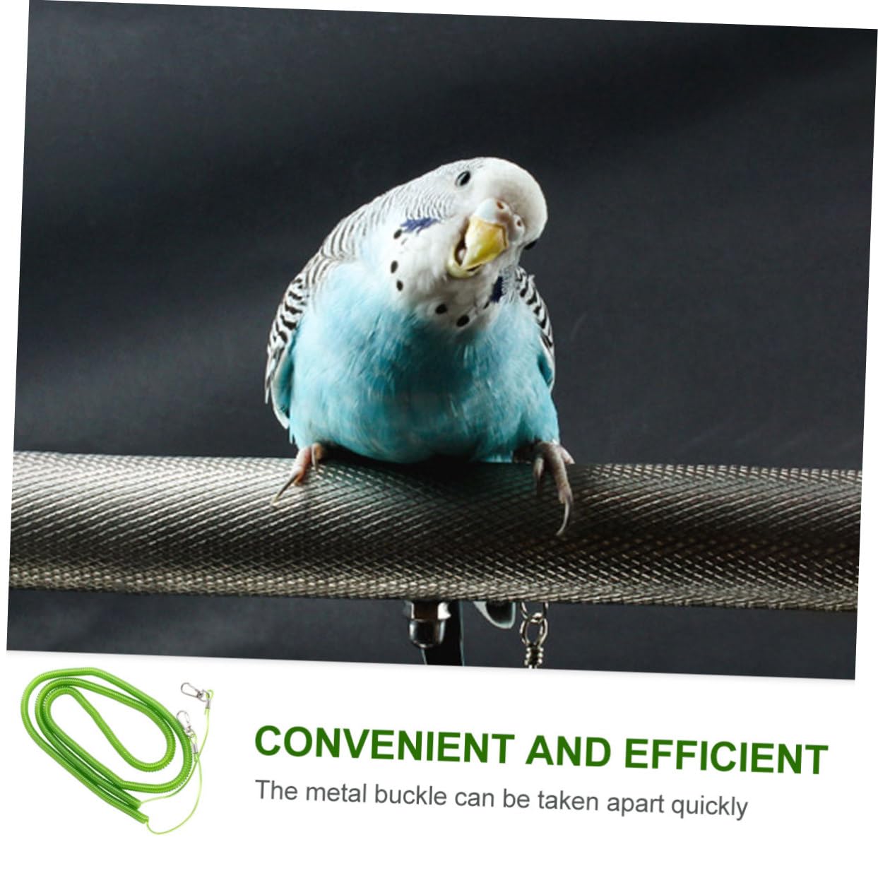 BESPORTBLE 2 Pcs 15 15m Elastic Parrot Harness Leash Bird Leash Training Rope for Outdoor Activities Strong Plastic Steel Wire Chew Resistant Easy to Wear