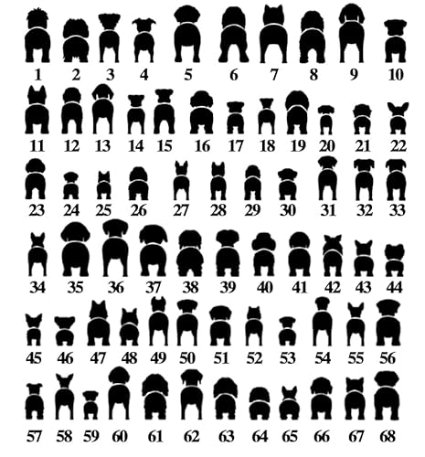 Dog Leash Hanger Personalizzato Portachiavi da