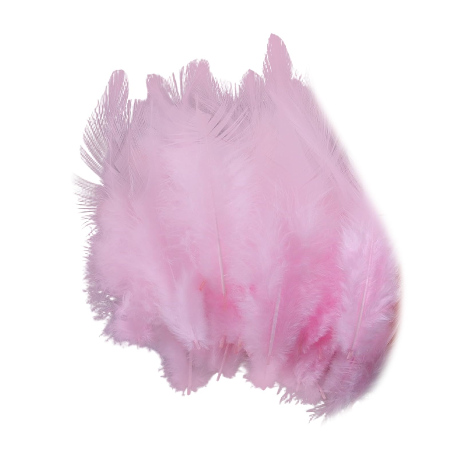 Hsioluted 100PCS Soft Plumage for Projects Portable Decorative Materials Ideal for Costume Design and Party Decoration Long Craft Quills