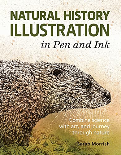 Natural History Illustration In Pen And Ink: Combine Science With Art, And Journey Through Nature #TOP14