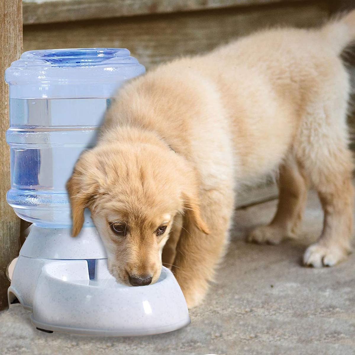 tgopit Self Dispensing Pet Waterer – Automatic Gravity Dog Cat Waterer - Pet Water Dispenser Dogs Cats – Dog Water Bowl Water Dish – Automatic Water Bowl for Pets(Multicolour) 1 Pcs 1