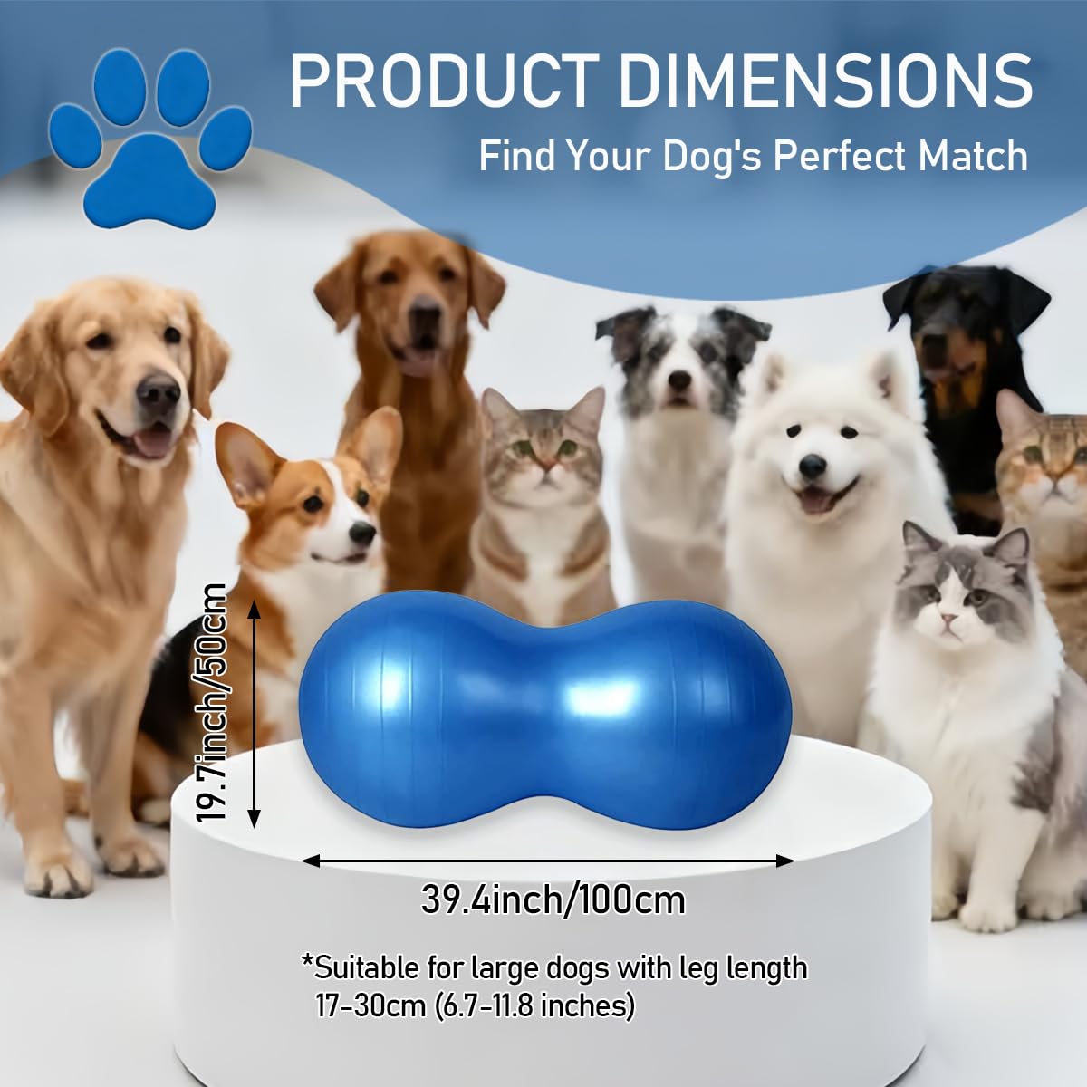 Amazon | 犬用ピーナッツボール 犬用フィットネス&リハビリテーション