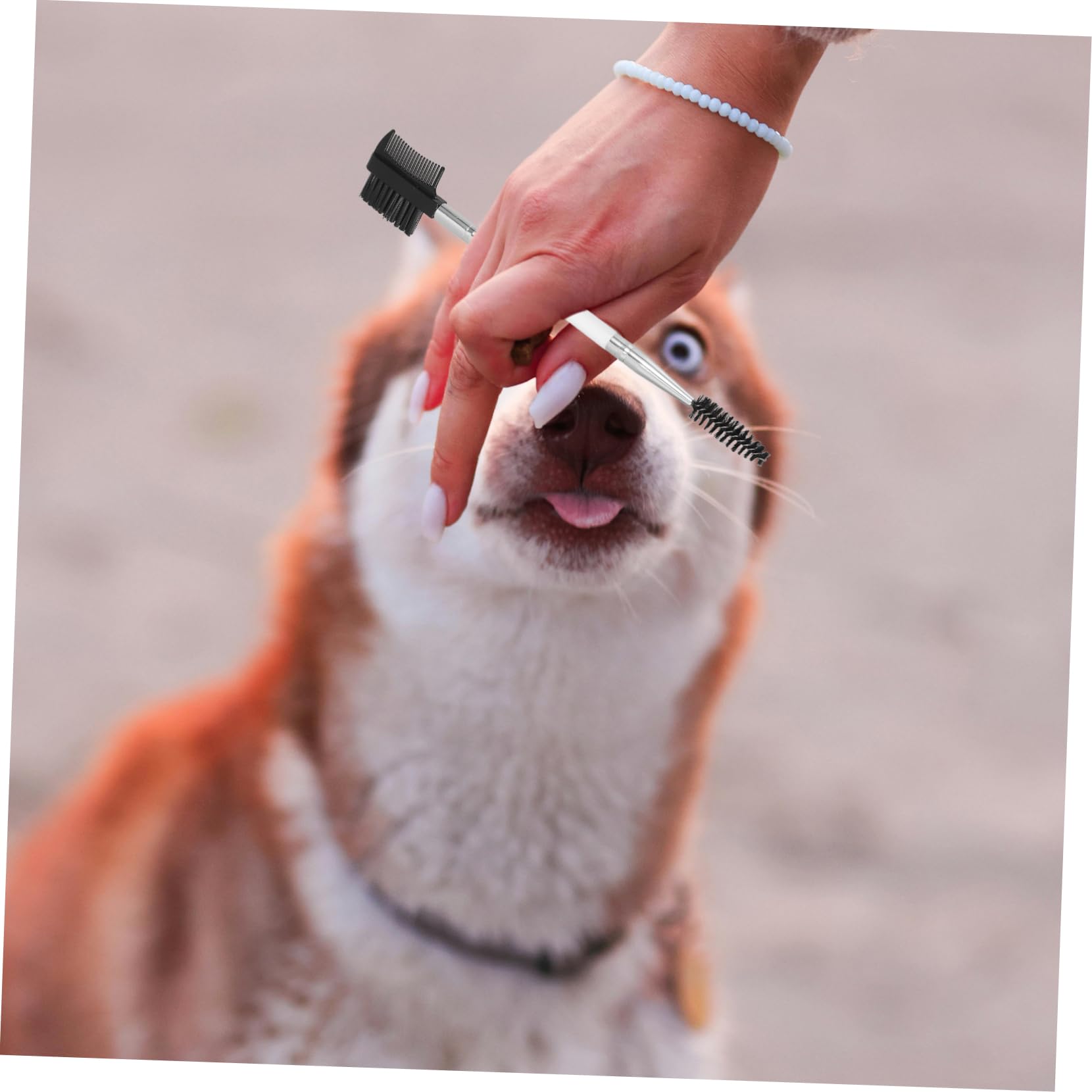 SUPVOX Dog Eye Brush 2 Pack Hair Comb for Tear Stain Removal Cat Dog Grooming Tool Non-slip Grip