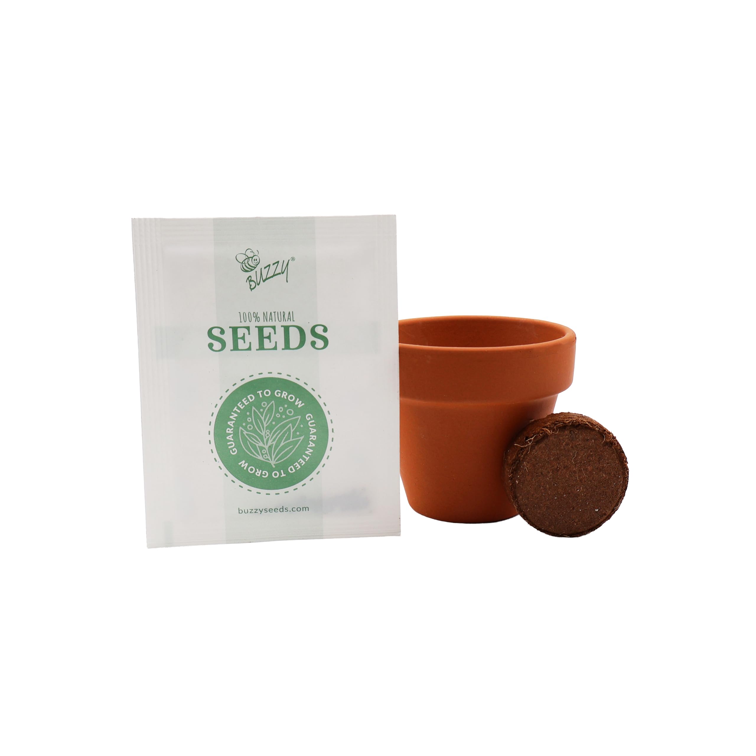 Amazon.com : BUZZY Seeds Poppy Grow Kit 12-Pack, Mini Terracotta
