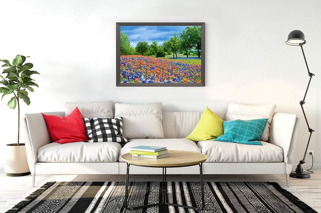 DIY 5D Diamond Painting Kit Colorful Spring Wildflower Texas Bluebonnet Paintbrush Meadow 16" X 20" Adult Full Drill Rhinestone Cross Stitch Art Crafts for Home Decoration