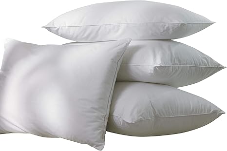 spotlight feather pillows