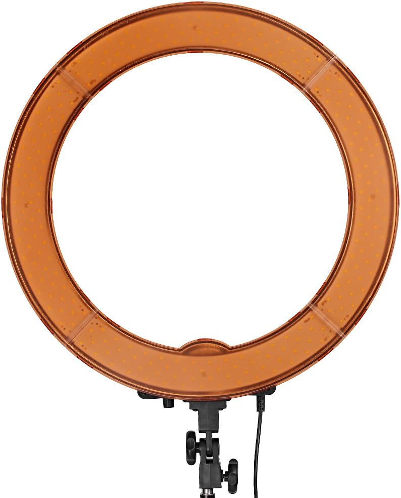 Neewer 18 Inch Ring Light with Wall Mounting Boom Arm, 55W Dimmable 5500K Light with 240 LEDs Color Filter, Soft Tube and Carrying Bag for YouTube TikTok Selfies Video Photography