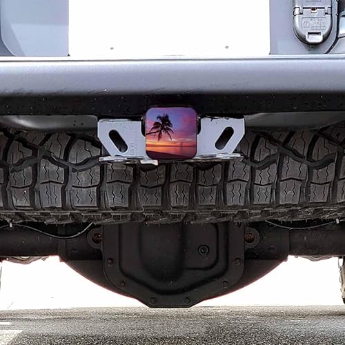 Vista 145 de Cubierta de enganche de receptor de 2 pulgadas, rosas, flores rojas, rosas, resistentes, cubiertas de enganche de receptor, cubierta de enchufe