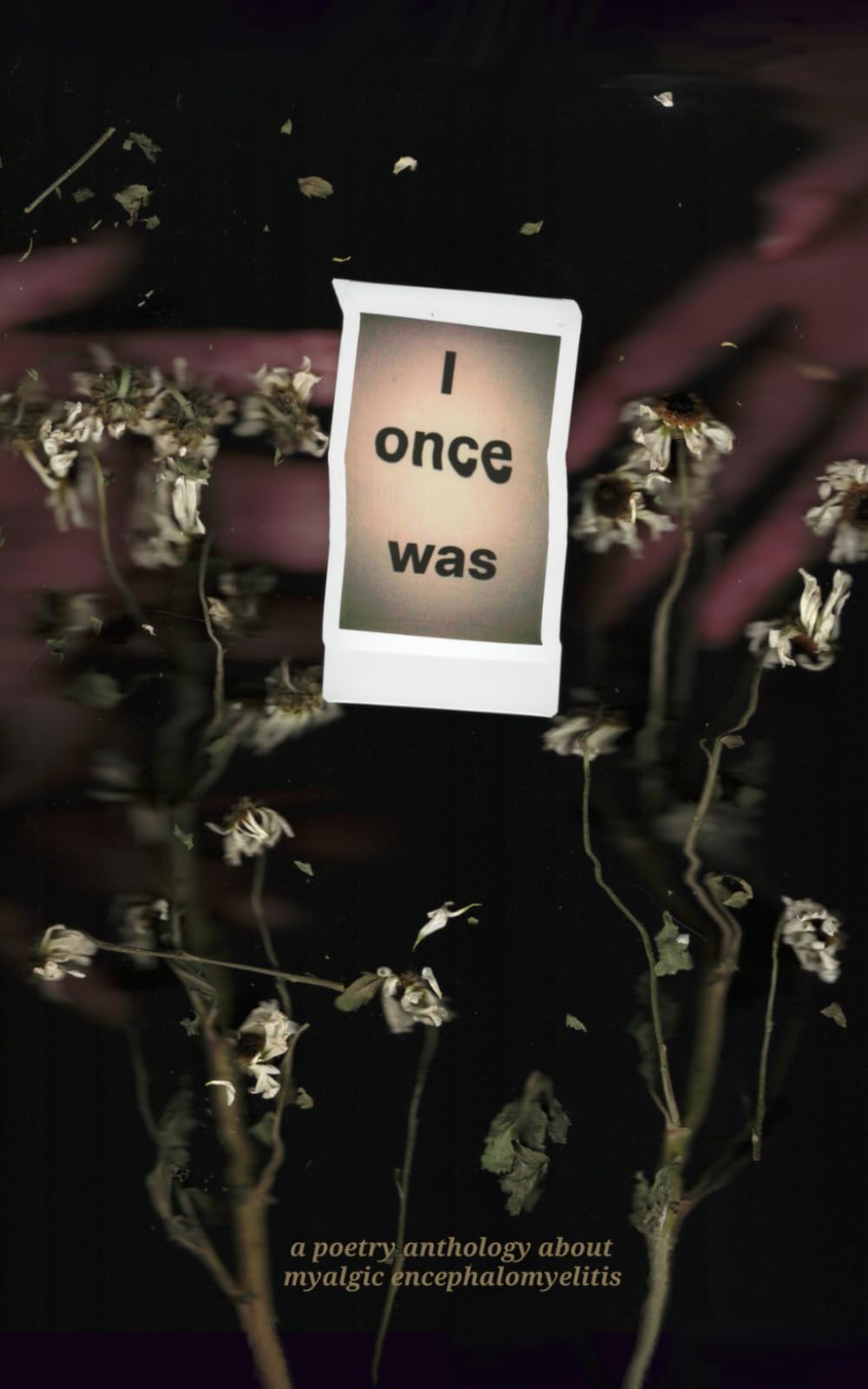 I Once Was: A Poetry Anthology About Myalgic Encephalomyelitis