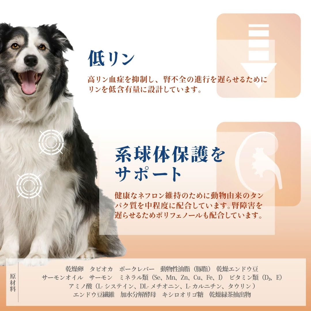 Amazon.co.jp: 【犬用 療法食】VetSolution ベッツソリューション