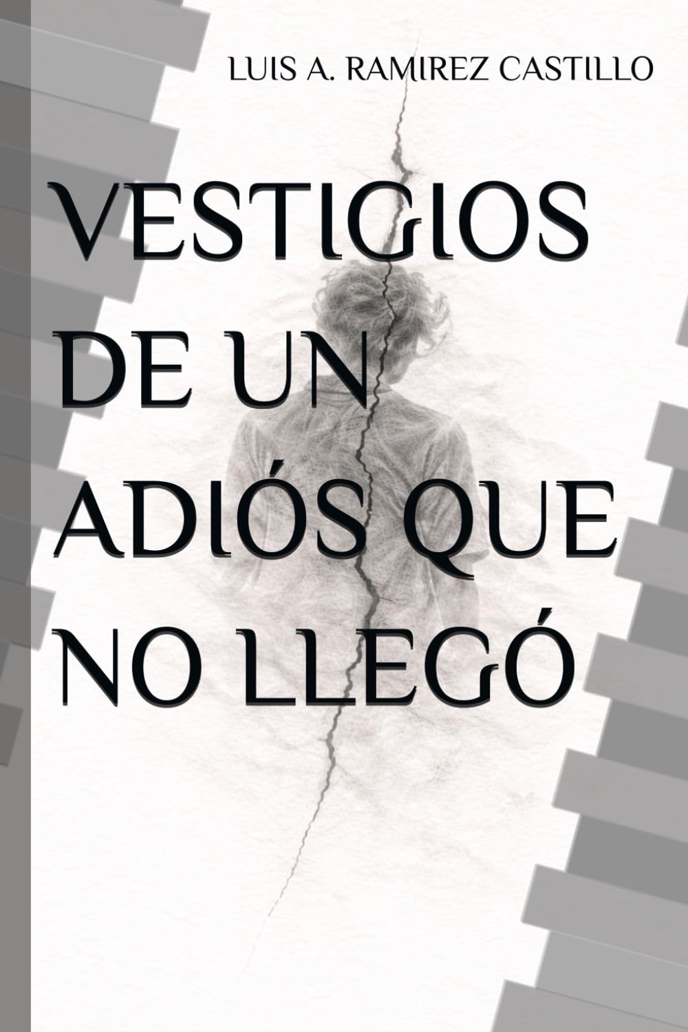 VESTIGIOS DE UN ADIÓS QUE NO LLEGÓ