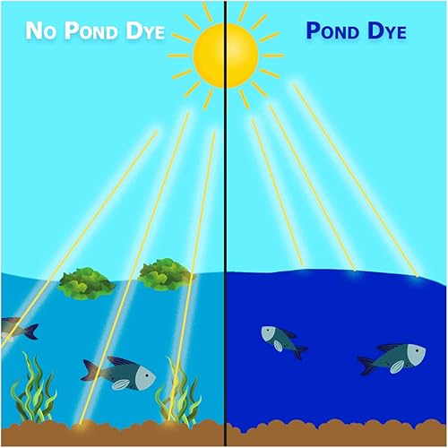 Miniatura 3 de Natural Waterscapes Tinte de estanque  Superconcentrado azul vivo  1 cuarto de galón trata 1 acre hasta 6 pies de profundidad, tinte azul verdadero