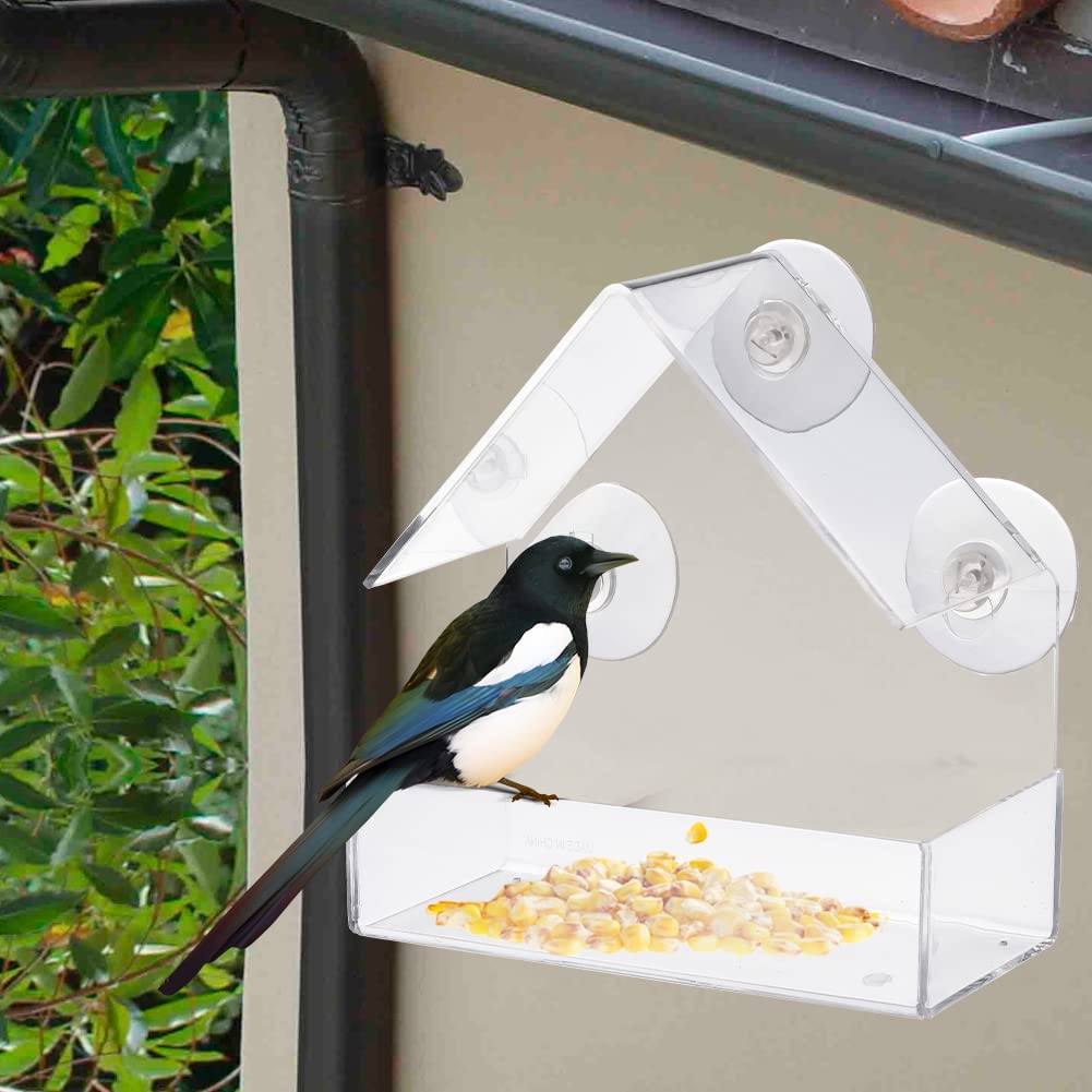 Comedero Transparente Para Pájaros Para Ventana, Con | Cuotas Sin Interés