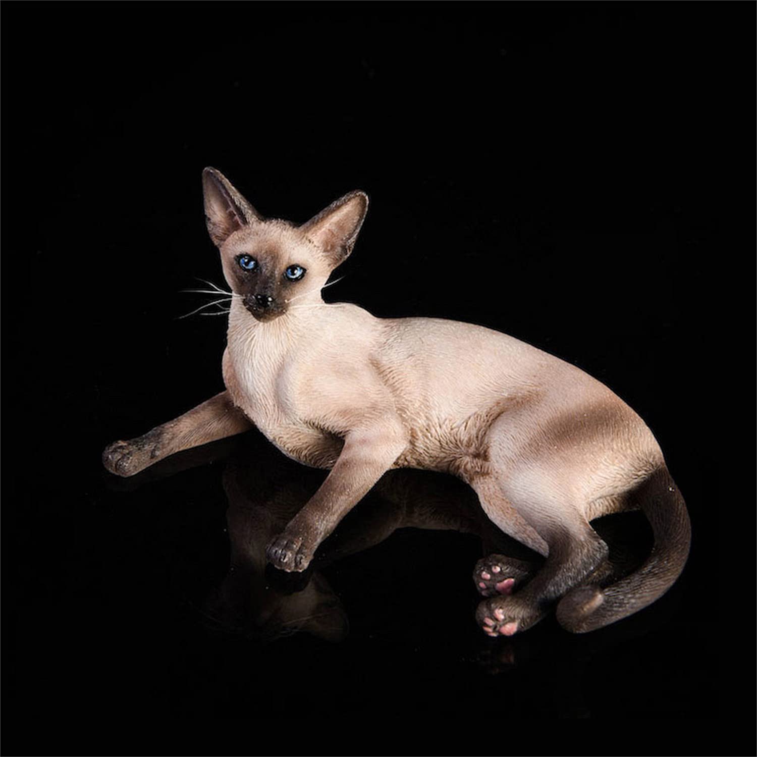 Amazon | JXK 1/6 サイズ シャム サイアミーズ 可愛い ペット 猫