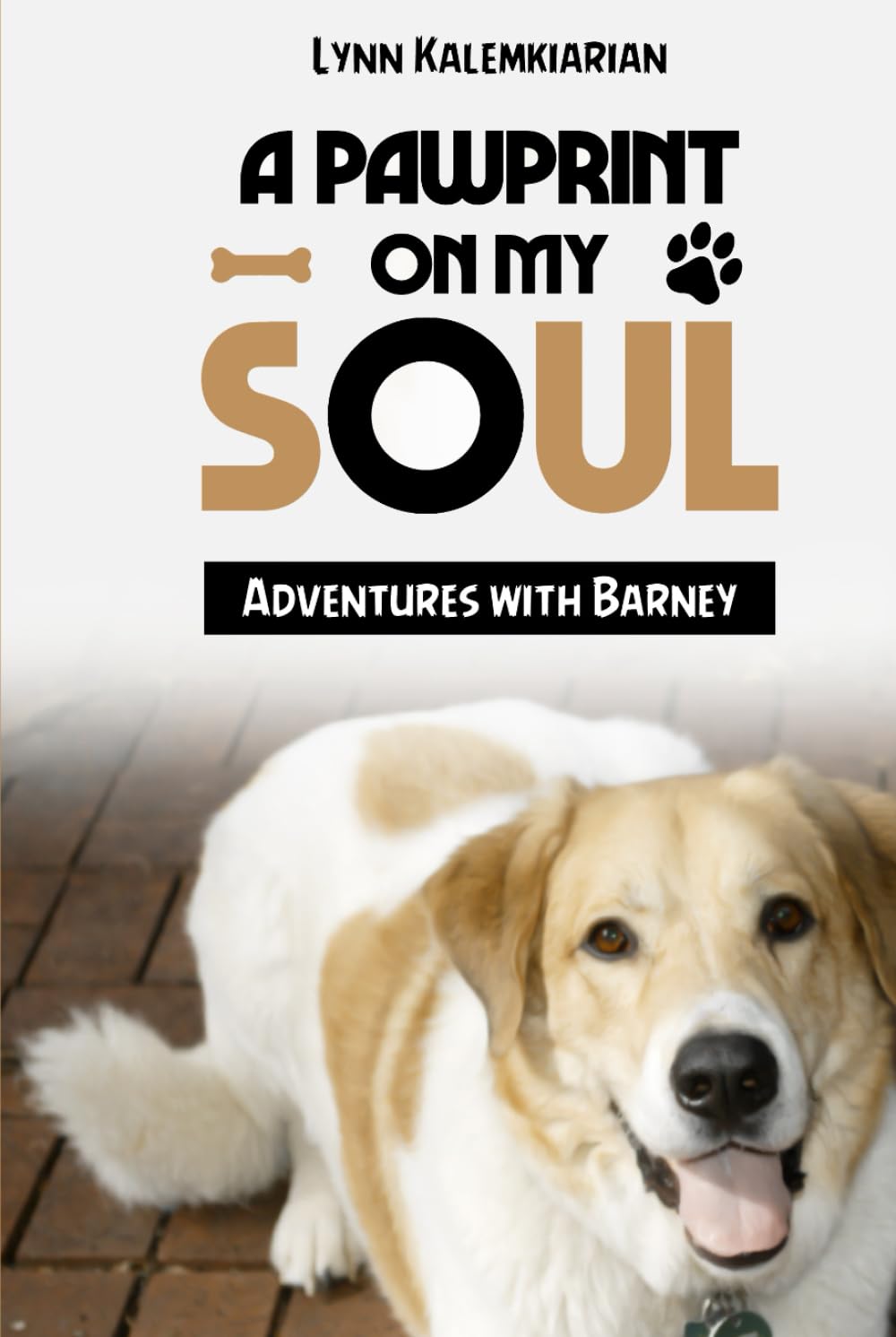 A Pawprint on My Soul: Adventures with Barney