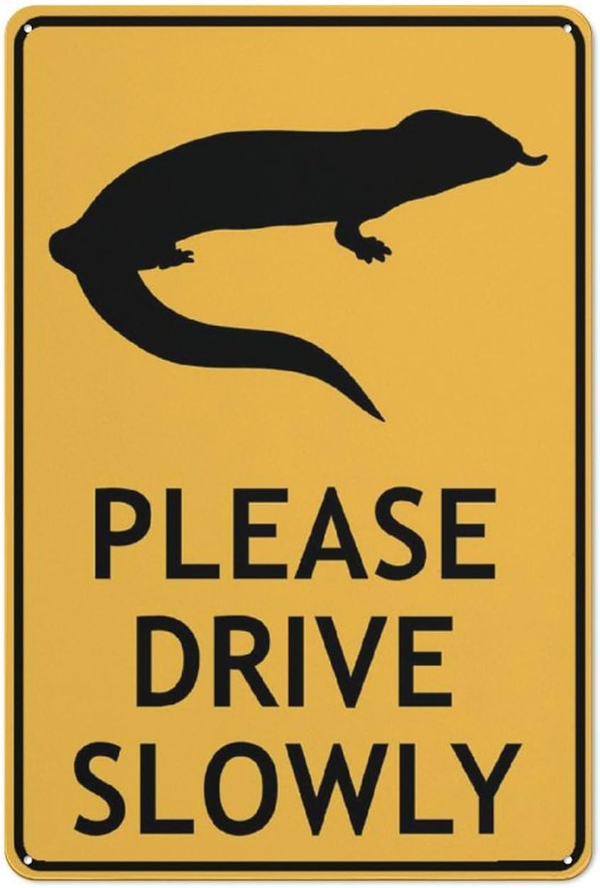 Blue Tongue Lizard Please Drive Slowly Rust Free Aluminum Sign - UV Ink Printed, Weatherproof Decor with Pre-Drilled Holes for Home Outdoor - 12x8 Inch​