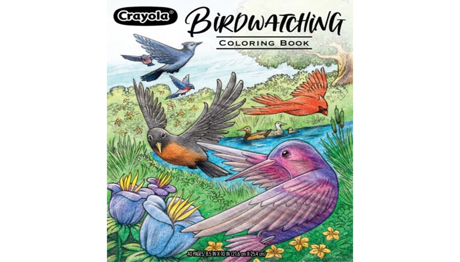 Bird Coloring Book 40pgs, Adult Coloring Pages