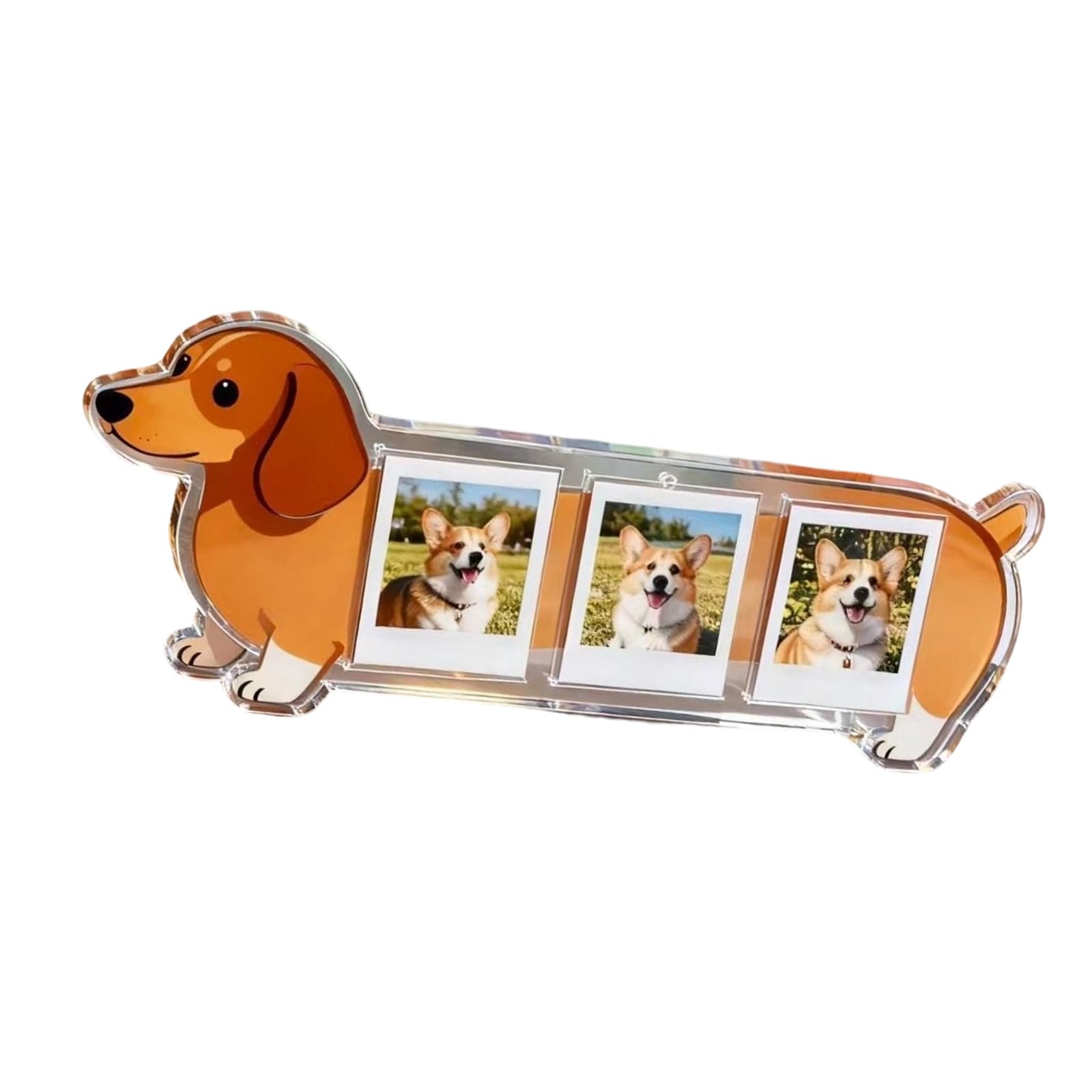 Xjdzineq Shatterproof Acrylic Photo Frame 3 Compartments Photo Holder Display Stand for Pet Dog Memory Picture Displaying Memory Frame for Animals