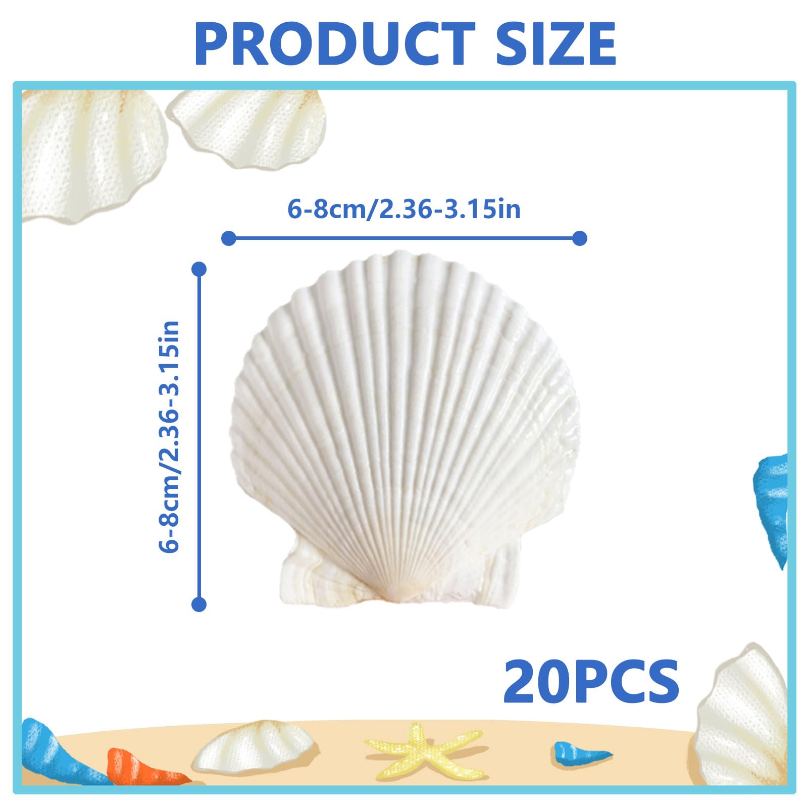Juego de 20 conchas blancas grandes – Decoración y artesanía para campanas de viento y barbacoa (6-8 cm)