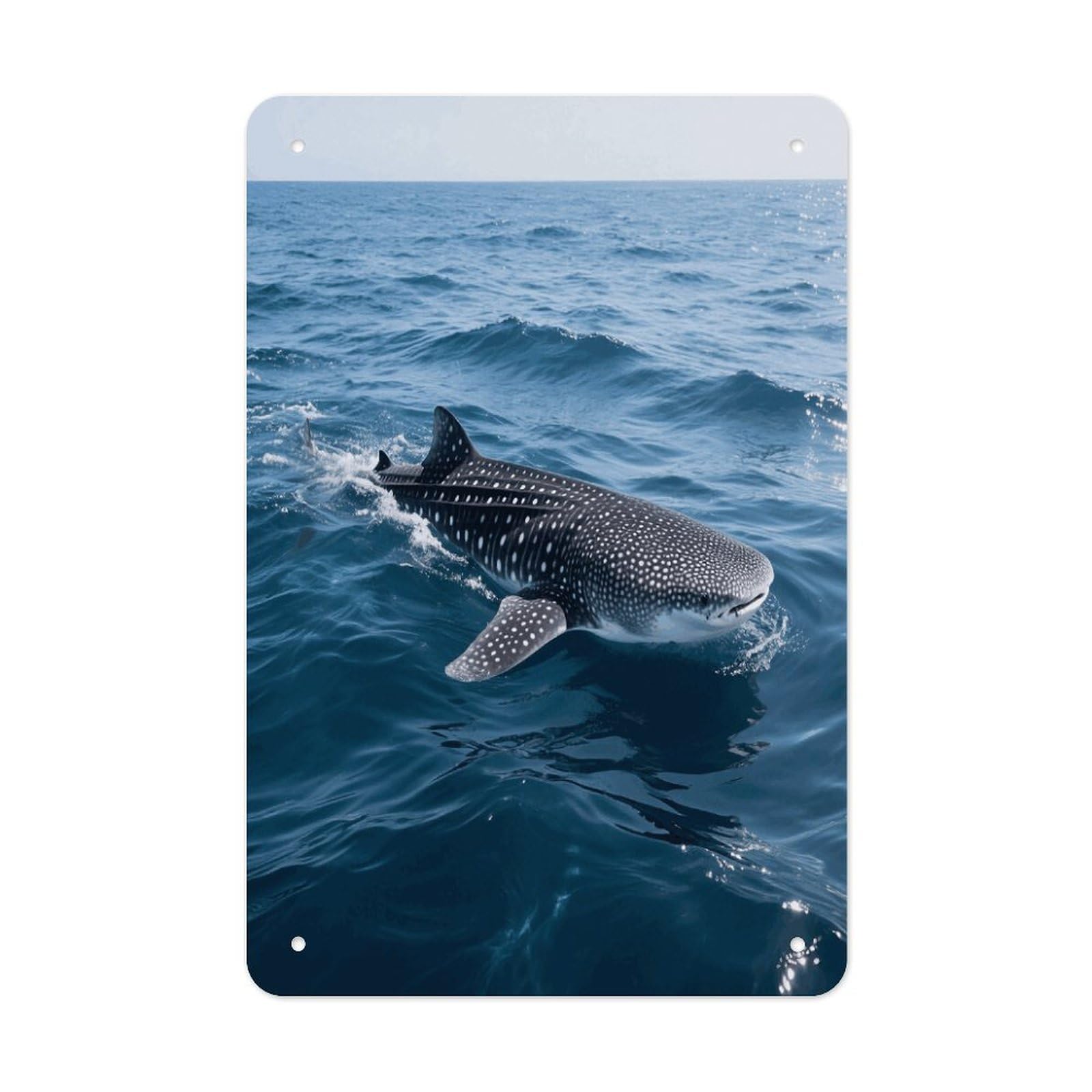 Whale Shark Tin Sign Vintage Funny Metals Sign Wall Decor Retro Metal Poster Wall Decoration Iron Metals Plate Art Metal Signs Poster for Indoor Outdoor Wall Decor