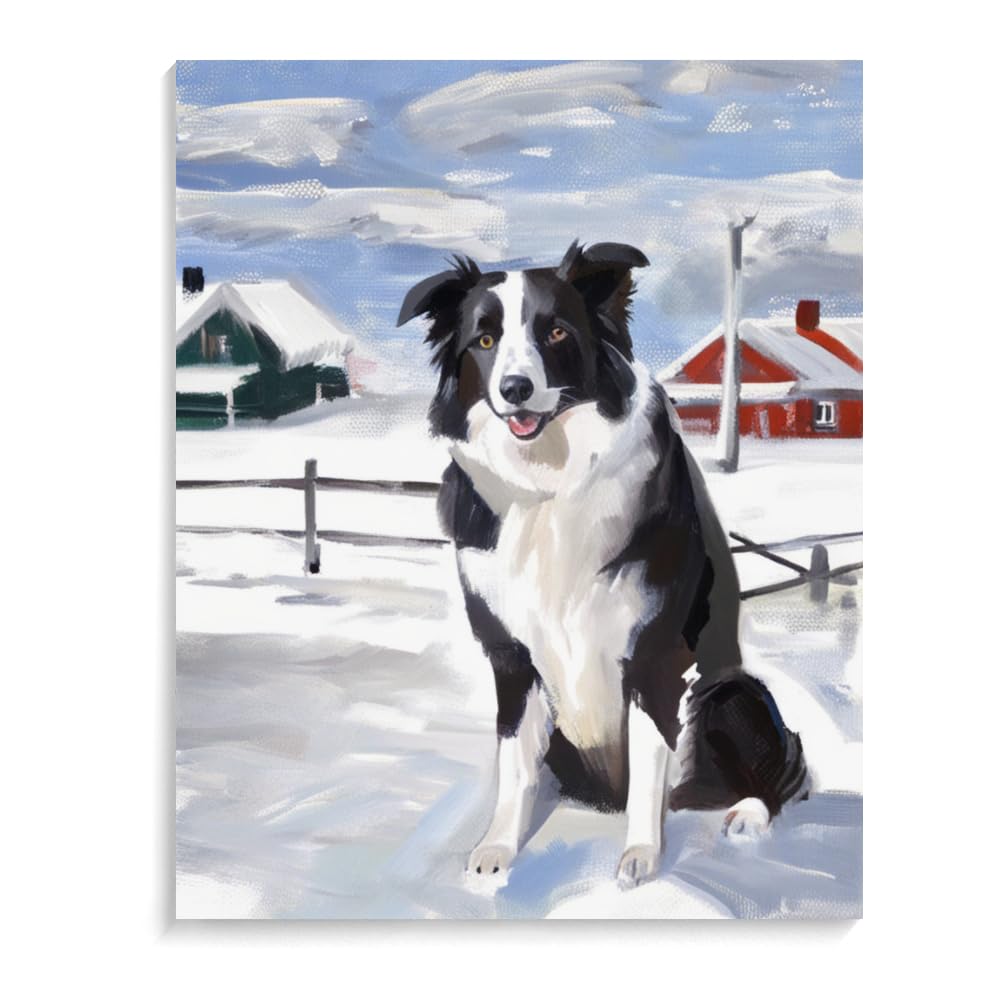 Paint by Numbers for Adults Beginners Border Collie Dog Gift Birthday Anniversary or Any Festival. DIY Acrylic Painting Kit for Room Decor Canvas 12x16inch(30x40cm) Frameless