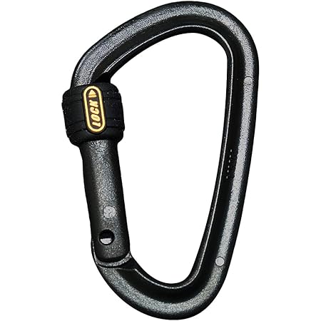 Amazon Co Jp カラビナ 大 ミニ コンパクト キーホルダー プラスチック 軽量 おしゃれ 国産品 c ビービーシー Ykk カラー ブラック Sports