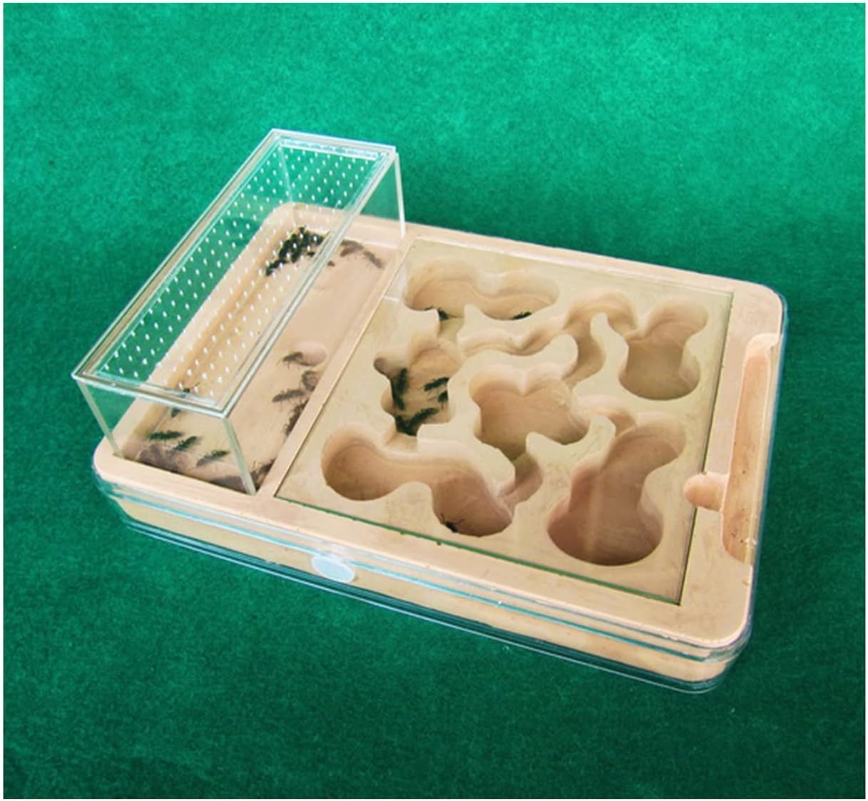 Stereoskopische Acrylbeobachtung Nest Transparentes Ameisennest aus PP-Kunststoff, Ameisenburg, Ameisenzuchtkasten, Ameisenvilla, Ameisenfütterungskasten, wissenschaftliches Experiment zur Ameisenfors