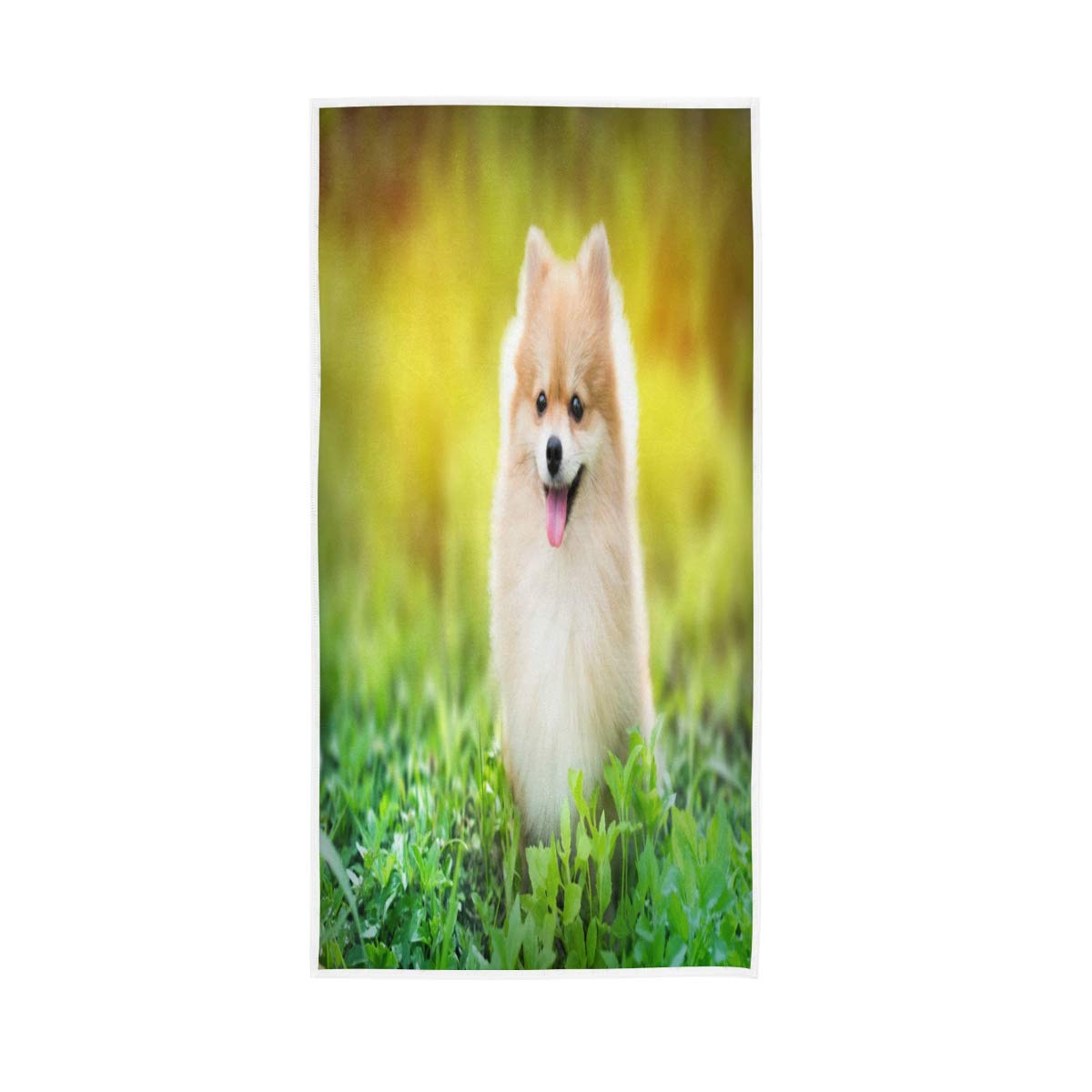 GIGIJY - Toalla de mano para perro Pomerania, muy absorbente, suave, toalla de mano para el hogar, cocina, baño, gimnasio, (1 juego de 4 unidades) para adultos niños y niñas 76 x 38 cm