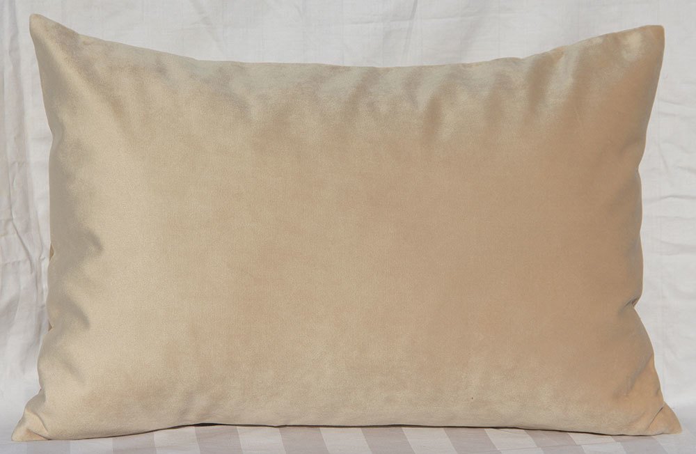 TangDepot 2-Pack Super Soft Velvet Pillow Covers, 20x20 Grass Green — view 142