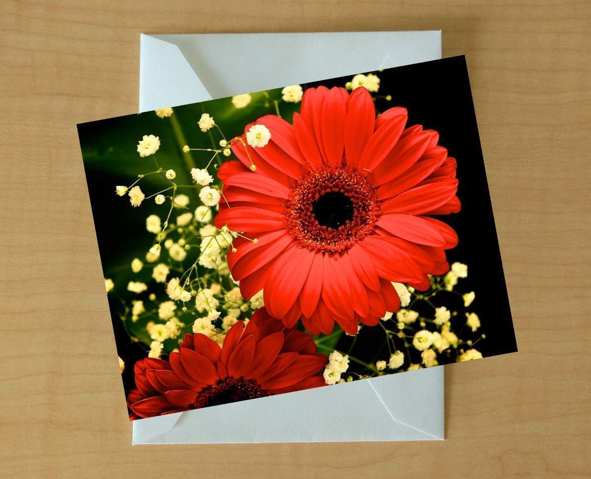 Tarjetas de Felicitación