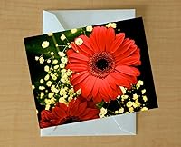 Vista 1 de Blank Note Cards Set, Original Art Blank Greeting Cards, Eco Friendly Notecards with Ikebana Flower Photo, Eco Friendly Recycled Paper Stationery
