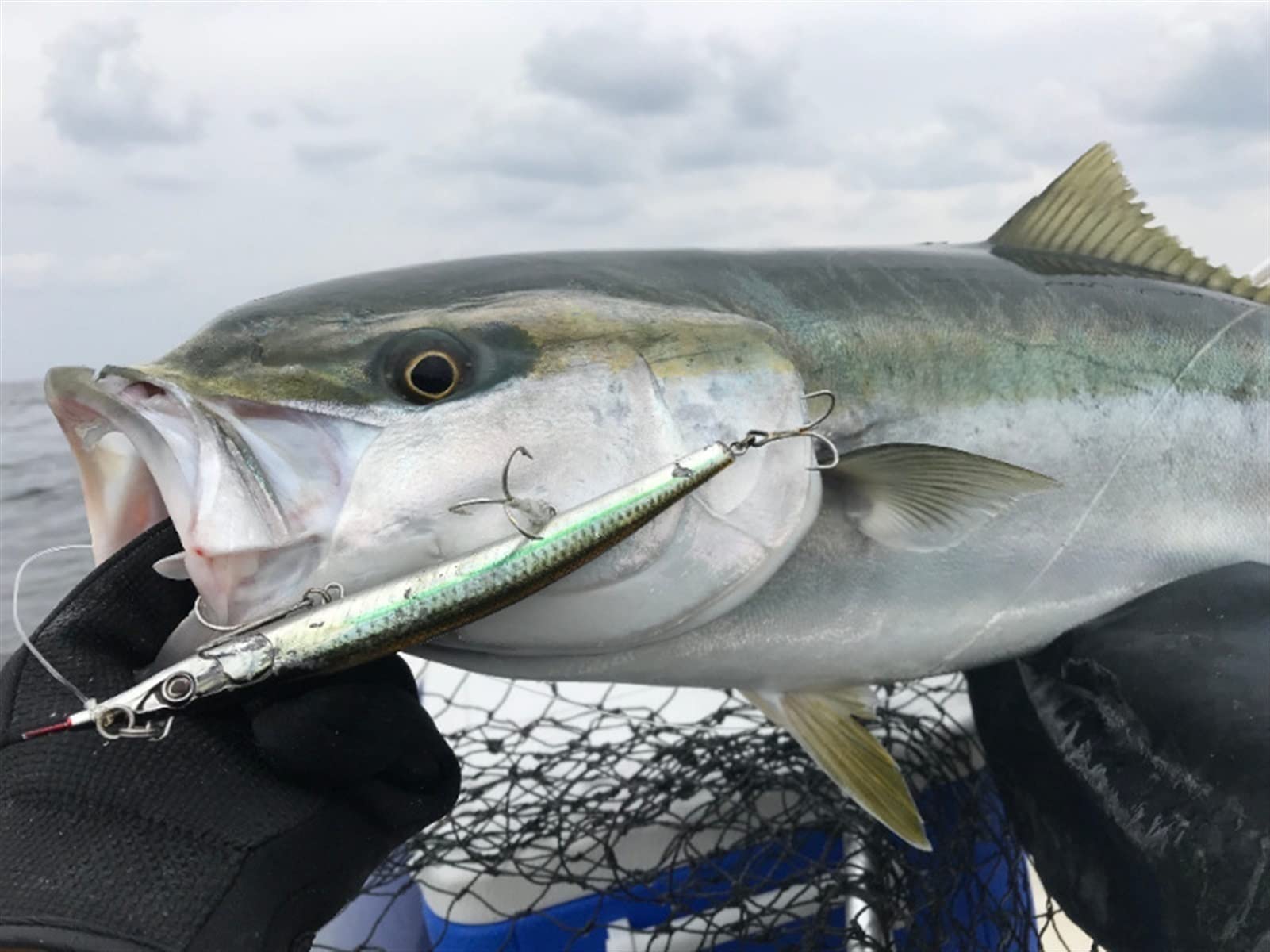 Señuelos de Pesca Blandos, Cebos de Pesca 10 Piezas Señuelos de Agua Salada Señuelo de Pesca Cebos de río Marino Aparejos de Pesca 182 mm 54 g for Trucha de Agua Dulce Salmón Simple y práctico