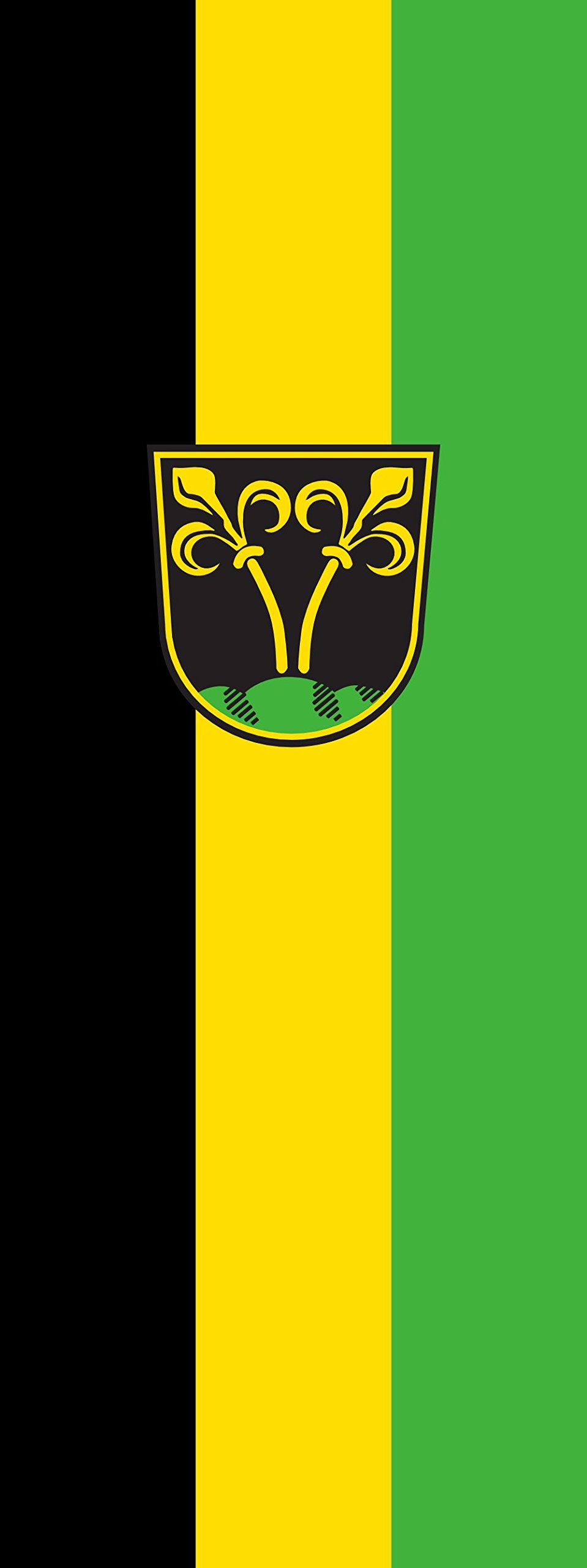 Drapeau Traunstein vertical pour pavoiser les places publiques et les fêtes