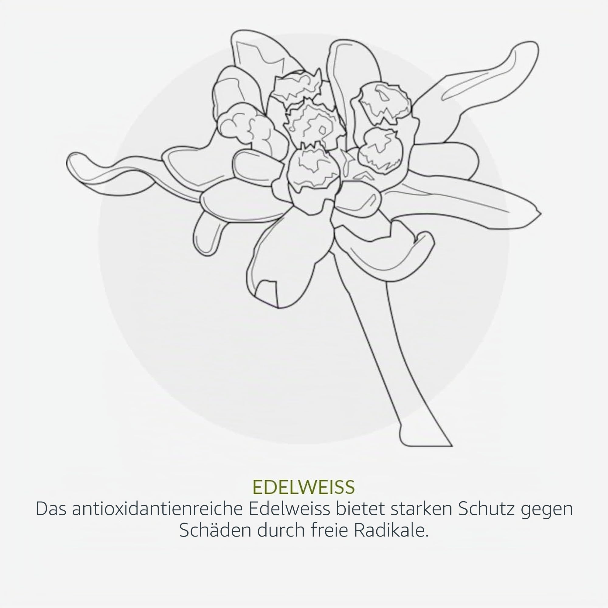 Green People Duftfreies SPF30 Sonnencreme & After Sun Set, 2x200ml | Aloe Vera, Grüner Tee und Edelweiss, Riff-sicher und tierversuchsfrei