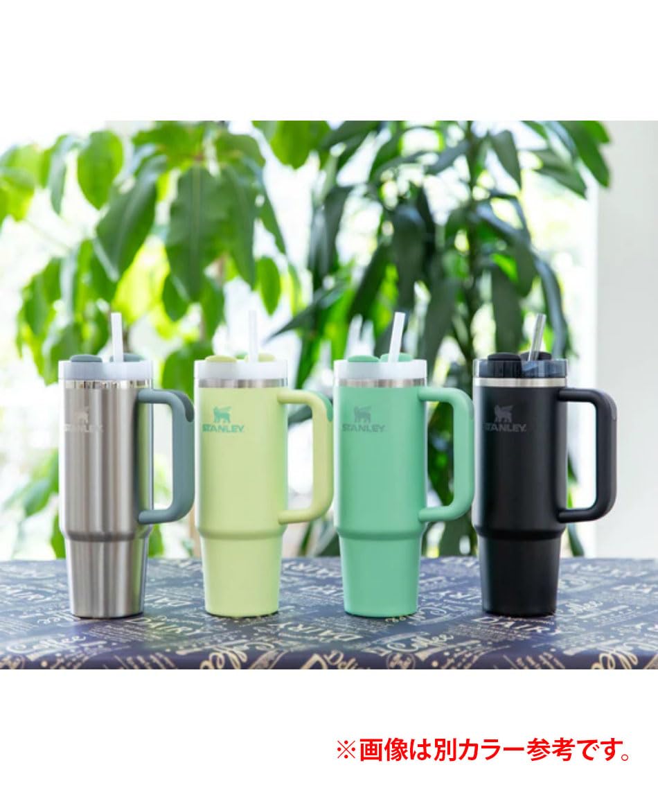 専用、スタンレーマグ2点 Amazon | スタンレー（STANLEY） 水筒 ボトル マグ H2.0 真空スリム