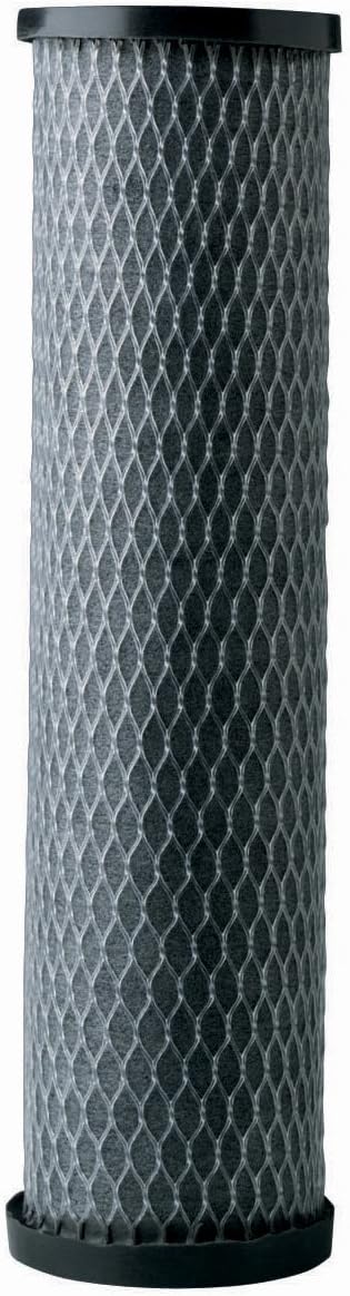 OMNIFilter To1-Ds12-S06 Taste/Odor Cartdg