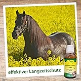 cdVet Naturprodukte Abwehrkonzentrat Pferd 50 ml - Schutz vor Zecken&Milben - rein pflanzlich - Langzeitschutz - einfache Handhabung - auf Geraniol- und Teebaumölbasis - ätherische Öle -, 15