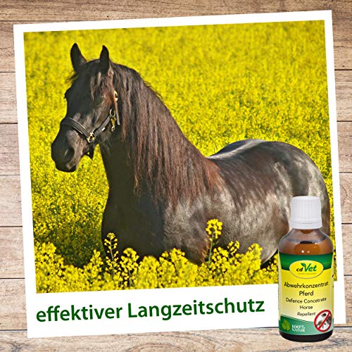 cdVet Naturprodukte Abwehrkonzentrat Pferd 50 ml - Schutz vor Zecken&Milben - rein pflanzlich - Langzeitschutz - einfache Handhabung - auf Geraniol- und Teebaumölbasis - ätherische Öle -, 15