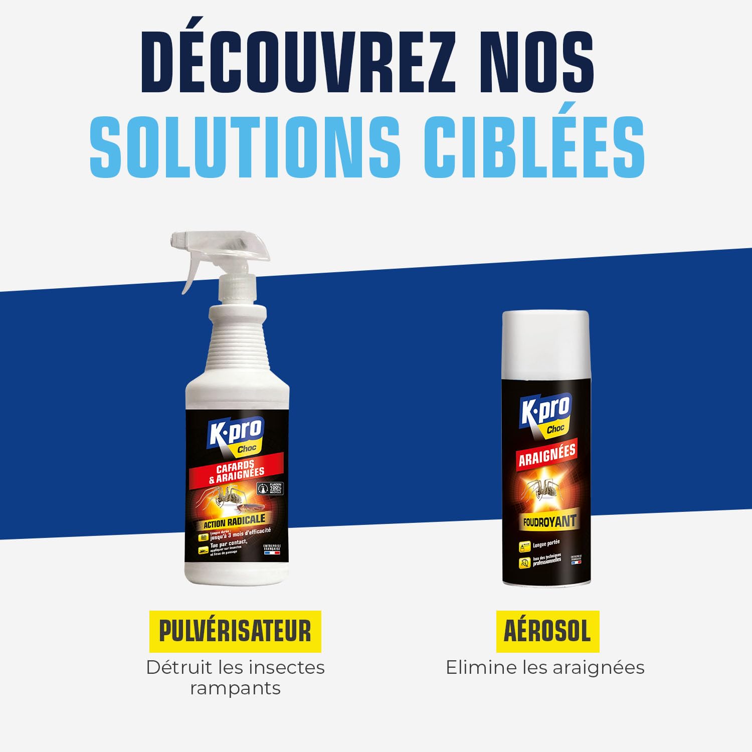 Spray Aérosol Anti Cafards et Araignées 1L Action Radicale Longue Durée Professionnel