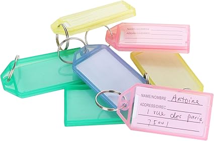 TPTGIAR 40 Stück Schlüsselanhänger Beschriftbar - Bunte Schlüsselschilder Für Koffer & Haustiere