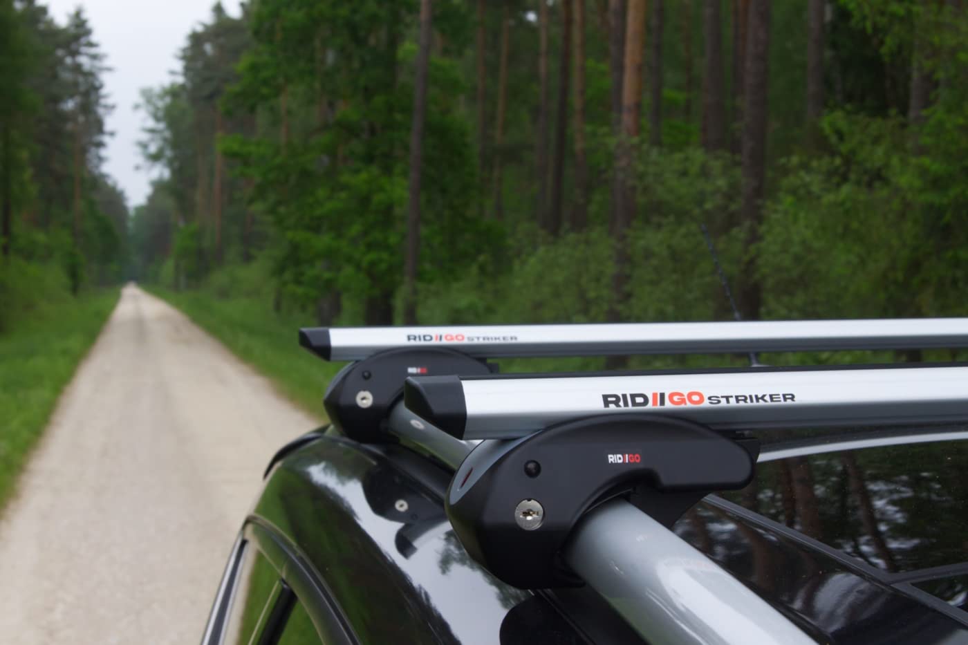 RIDIGO Striker Dachträger für Ford Kuga 2 II MK2 2013-2019 | Aluminium, 90 kg Tragkraft, offene Dachreling, Silber