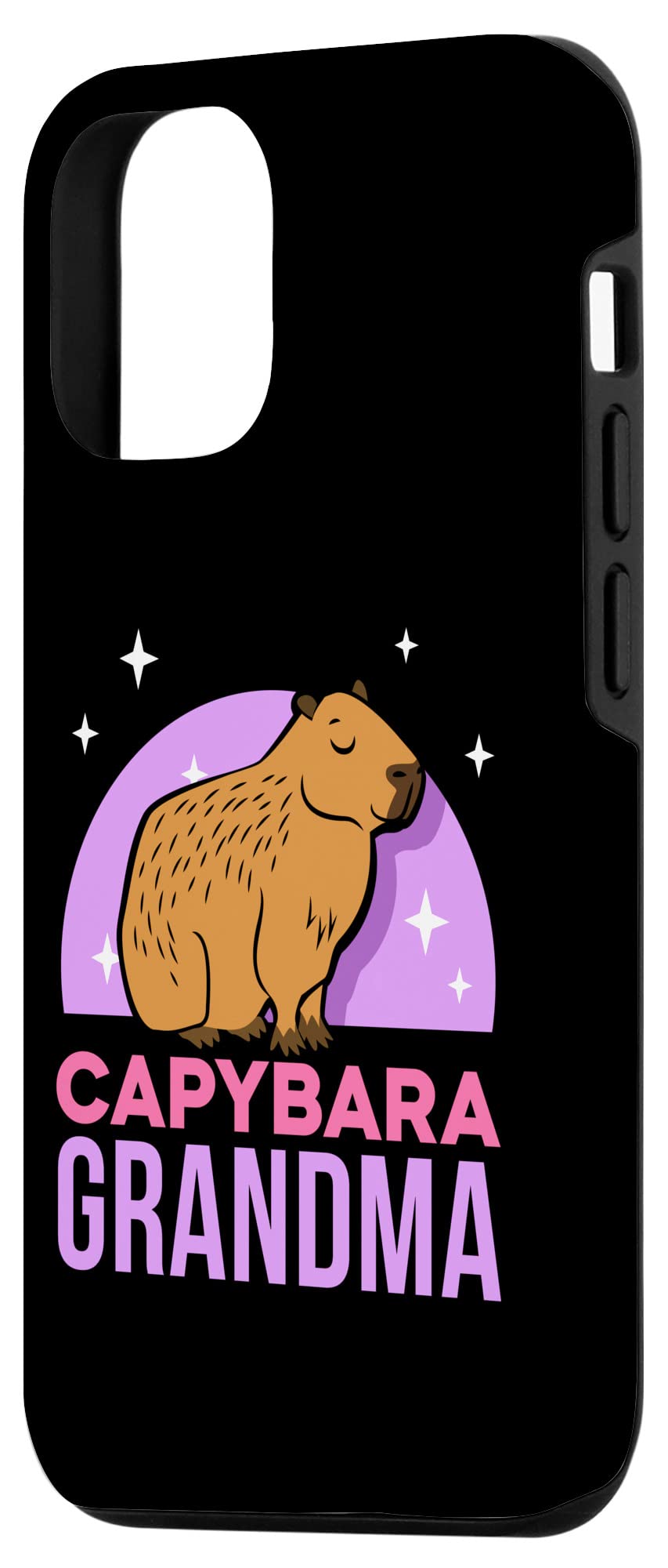 Amazon.com: iPhone 14 Capybara Grandma Animal Capybaras