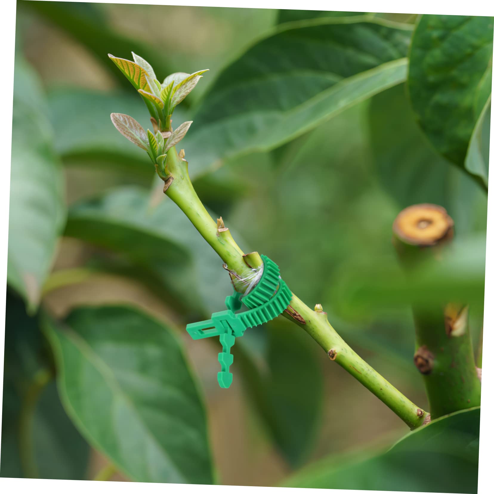 ifundom 2 Set Cinghie per da da E Resistente per Legare E Stabilizzare Piante E Rami per Giardinaggio E Esterno 18 Pezzi*2