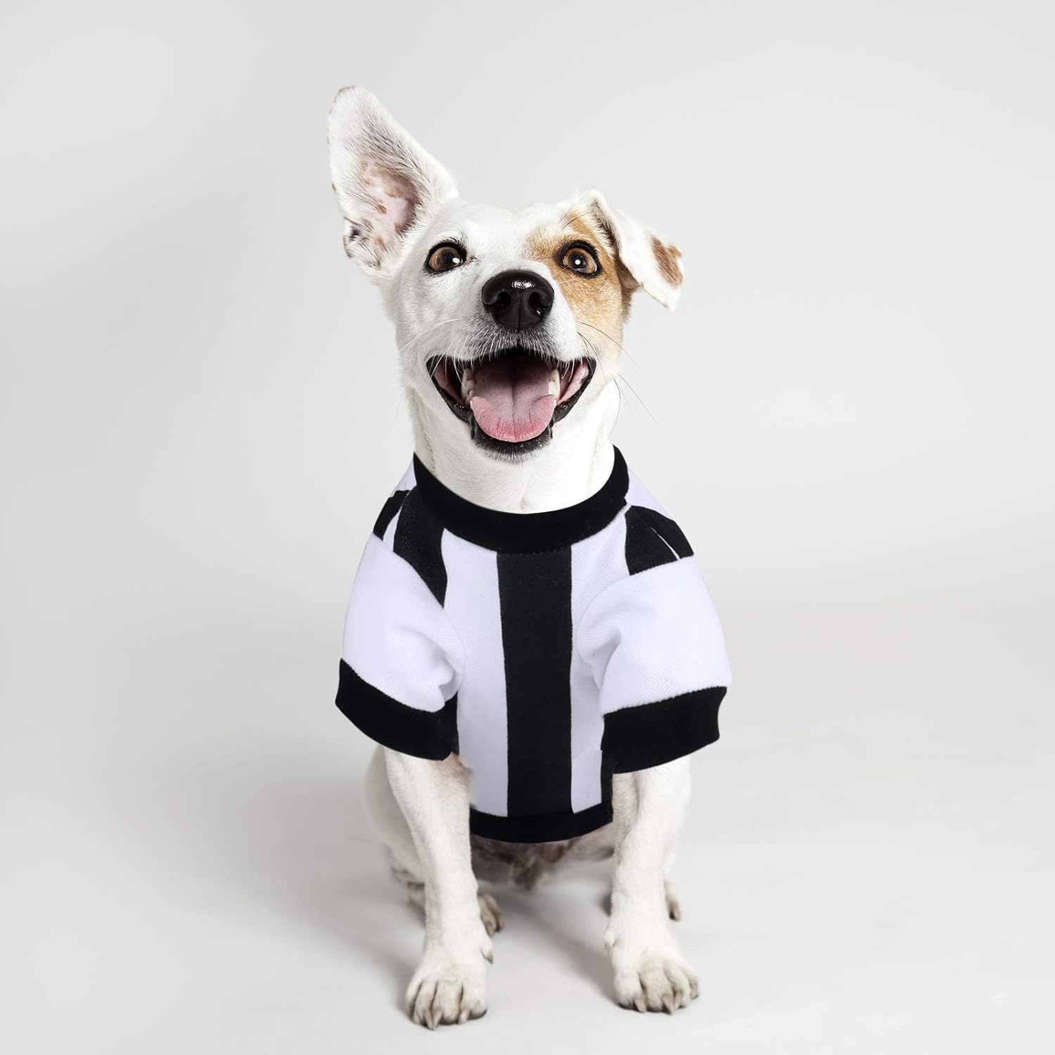 RUODON 6 Pieces Pet Breathable Shirts Printed Puppy Shirts Pet Sweatshirt Cute Dog Apparel Puppy Dog Clothes Soft T-Shirt for Pet Dogs and Cats (Large) : Pet Supplies
